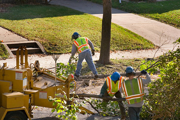Best Lawn Drainage Solutions  in Eureka, CA